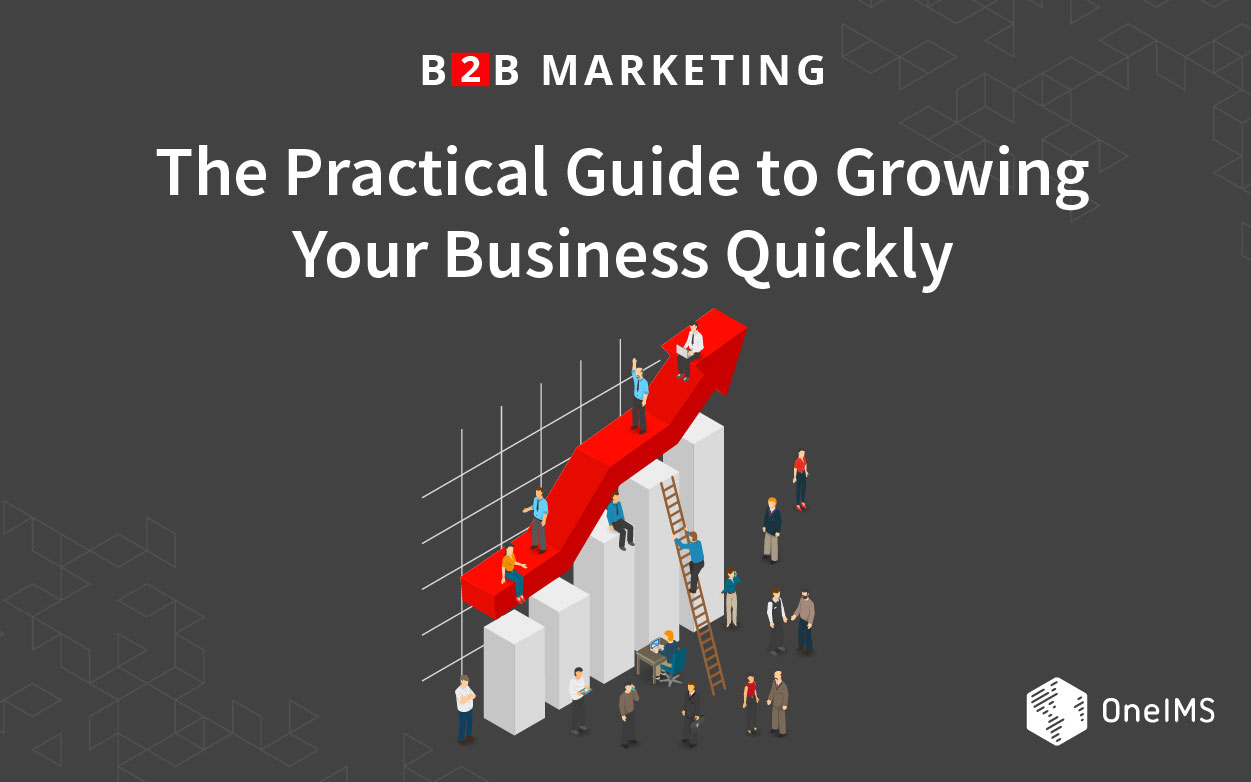 B2B Marketing: The Practical Guide to Growing Your Business Quickly